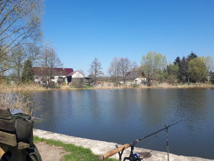 Hofeteich (Wilschdorf) angeln