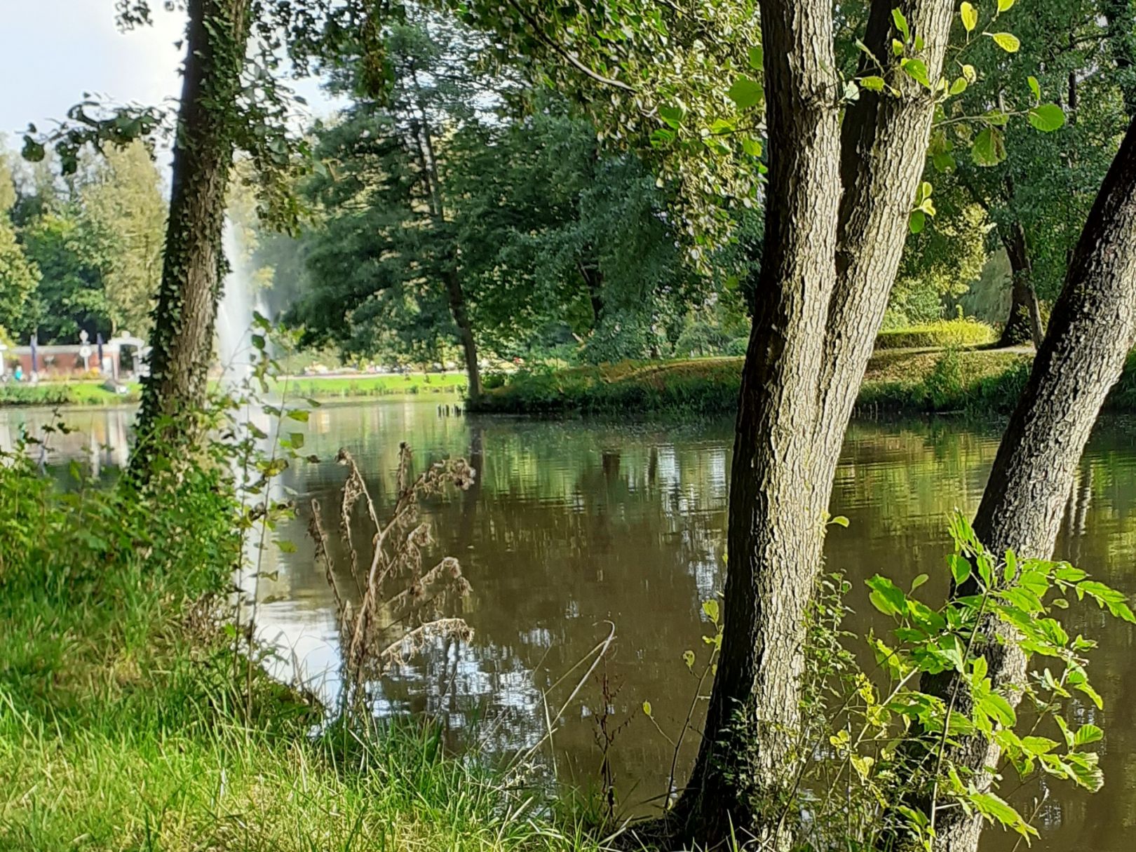 Stadtparkteich (Wilhelmshaven) angeln