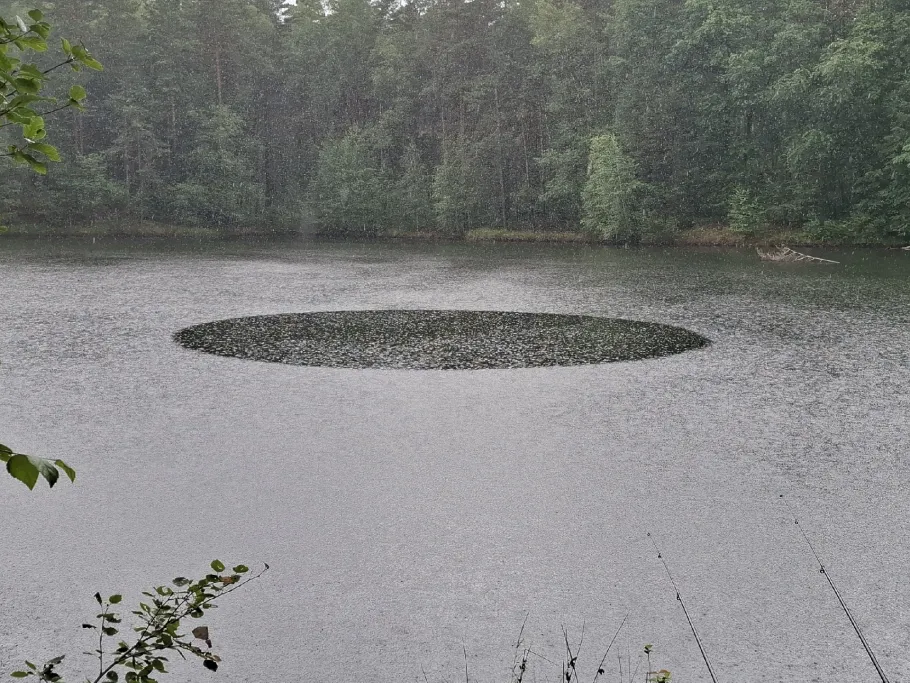 Grubenteich (Gr. Kölzig) angeln