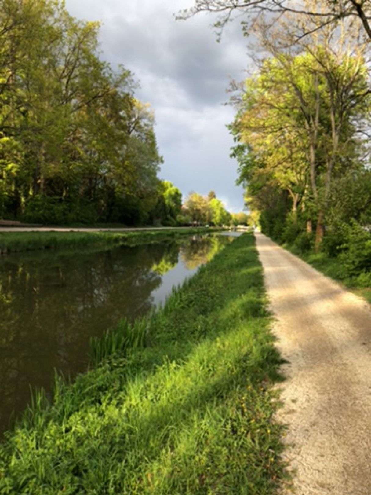 Ludwig-Donau-Main-Kanal (Wendelstein) angeln