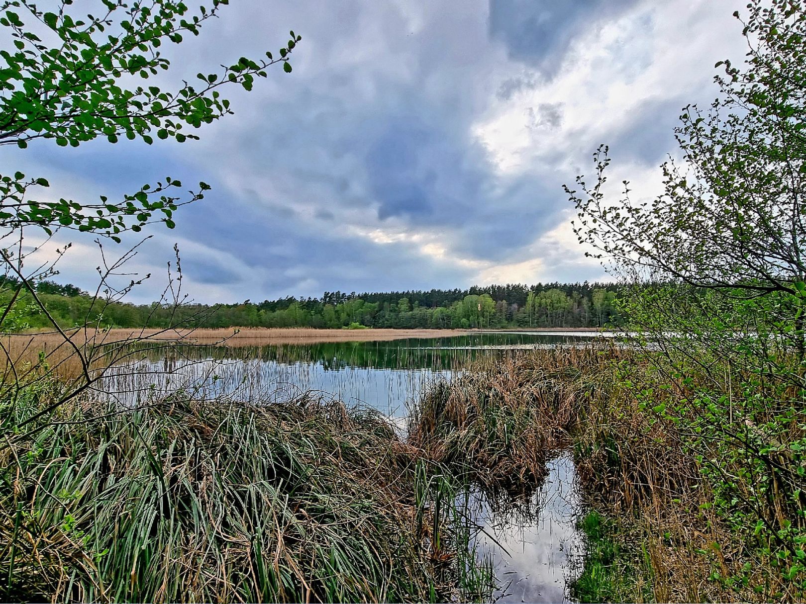 Angeln in Fürstenberg/Havel