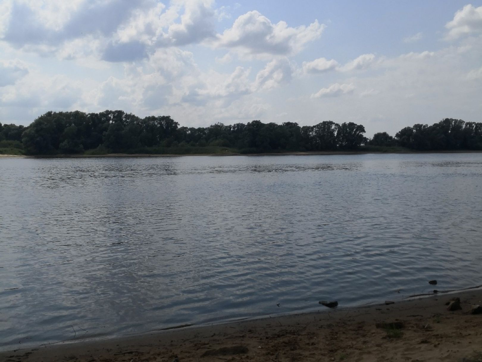 Elbe (Boizenburg/Elbe) angeln