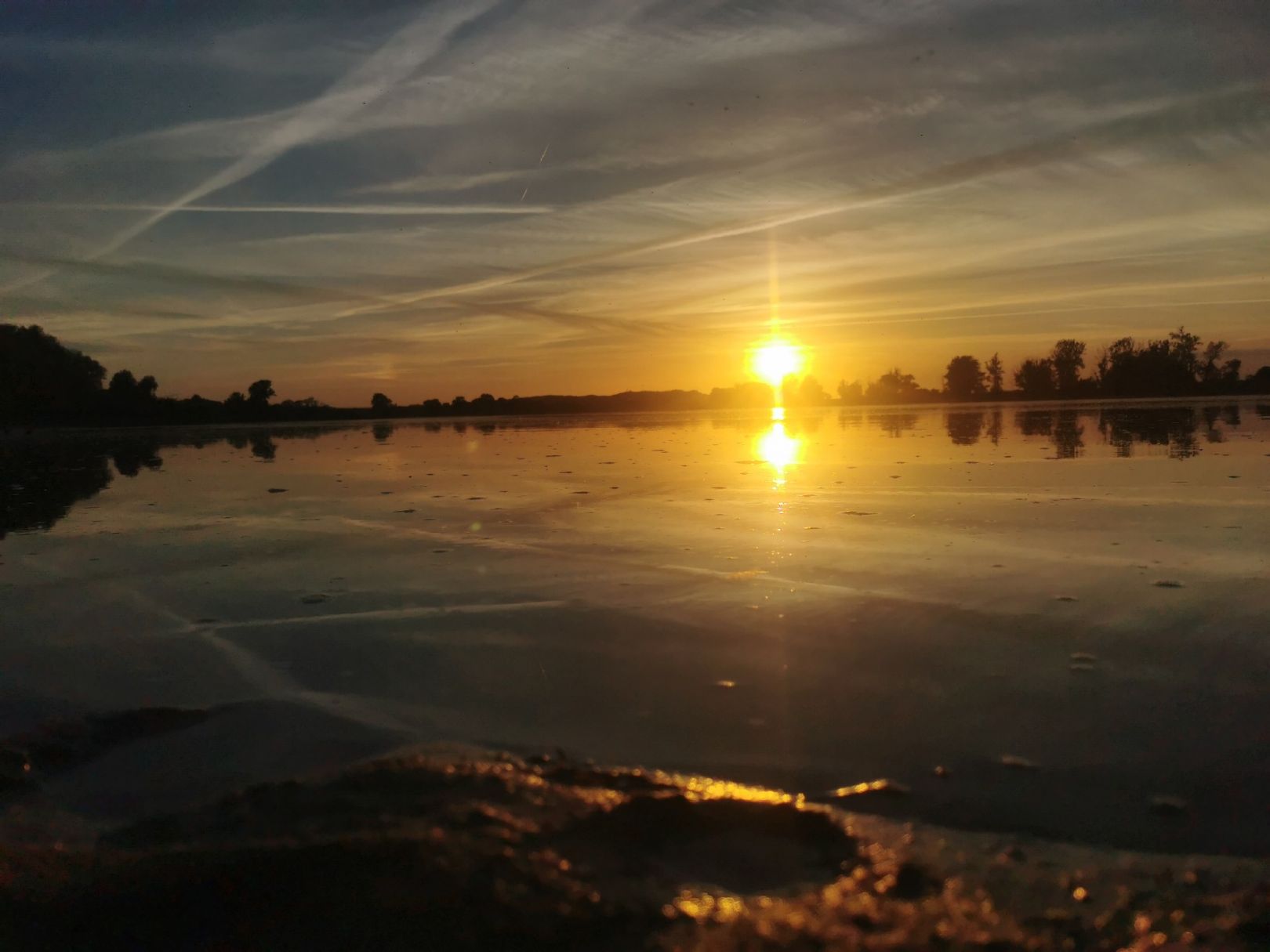 Elbe (Boizenburg/Elbe) angeln