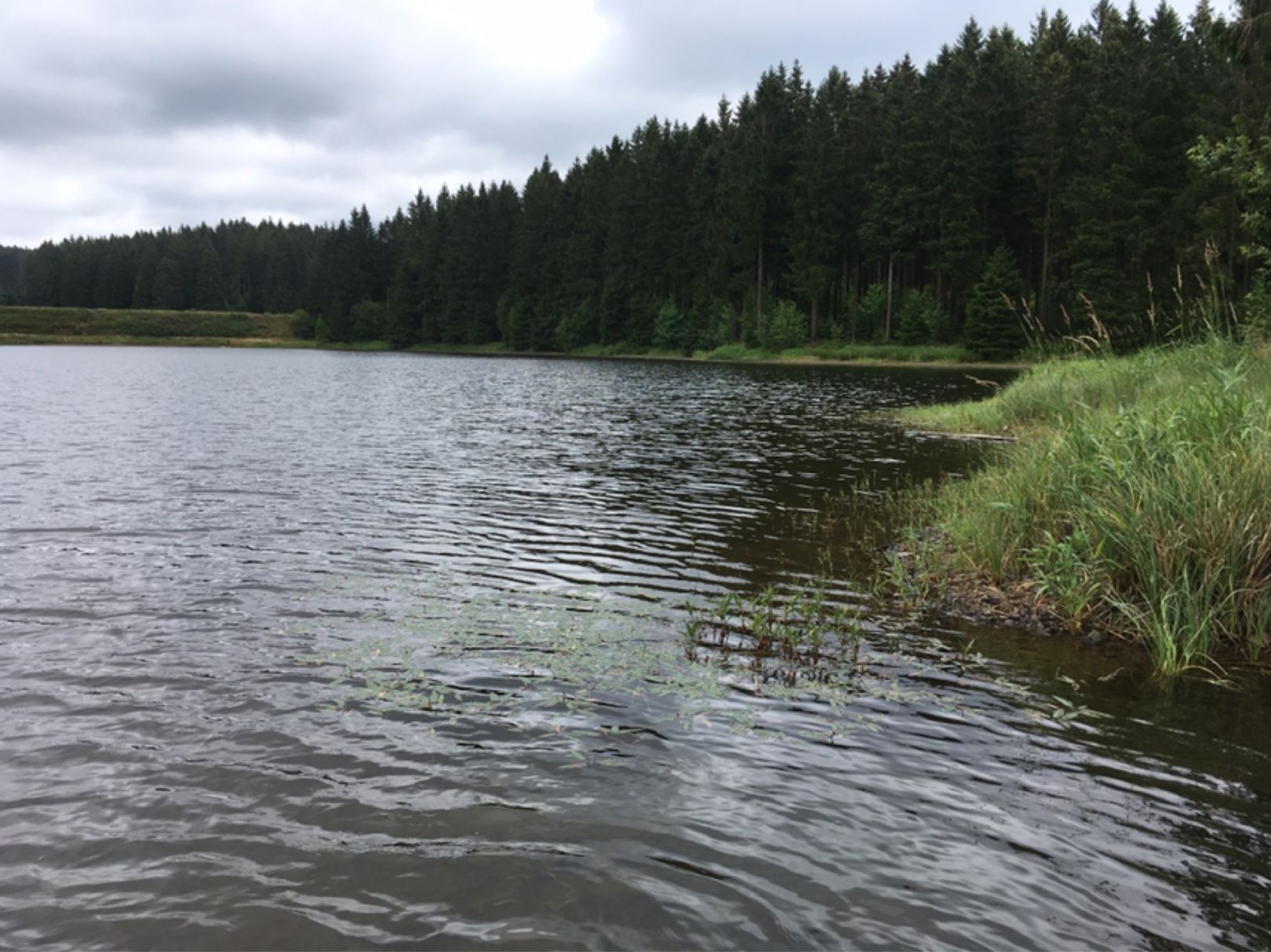 Ziegenberger Teich angeln