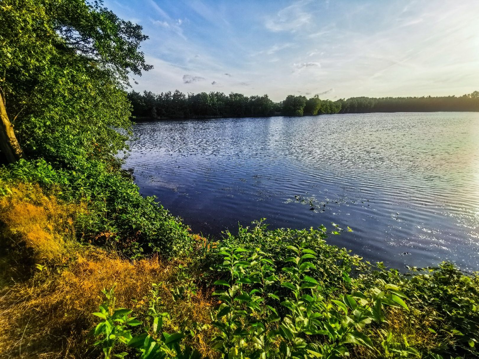 Plietenberger See angeln