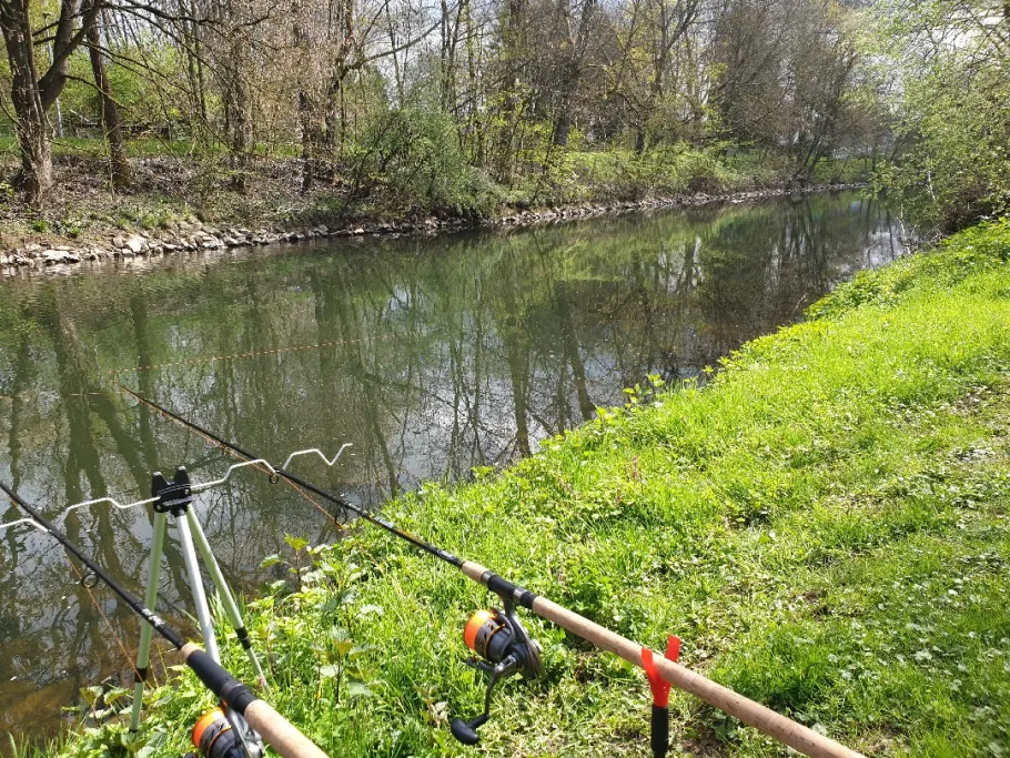 Wied (Segendorf) angeln