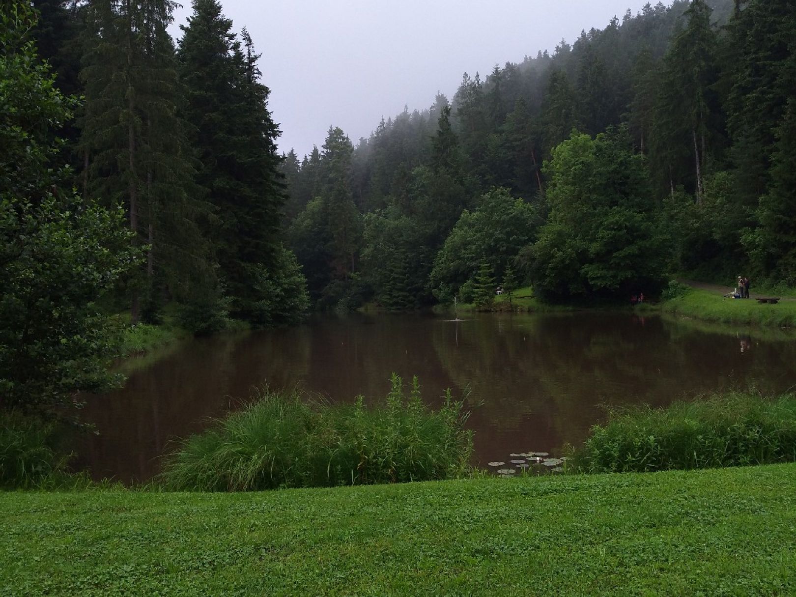 Angeln in Bösingen