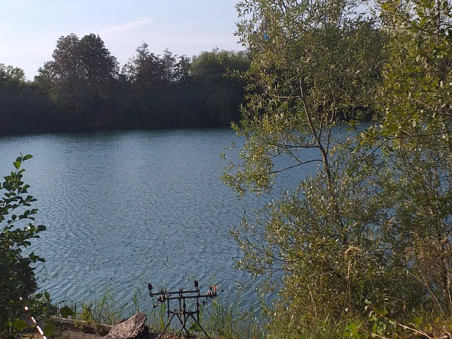 Teich 9 (Northeim) angeln