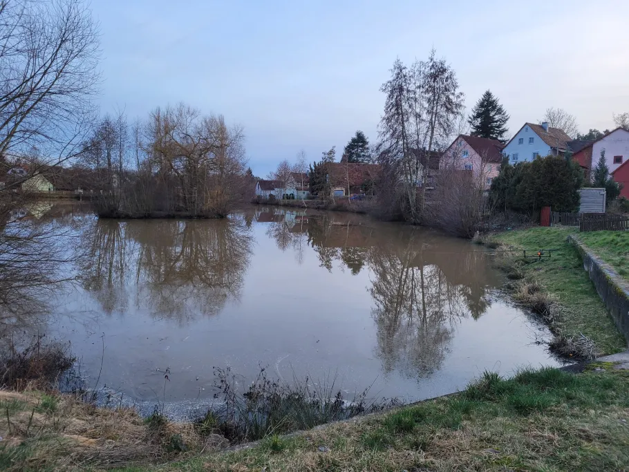 Dorfweiher Buch am Wald angeln