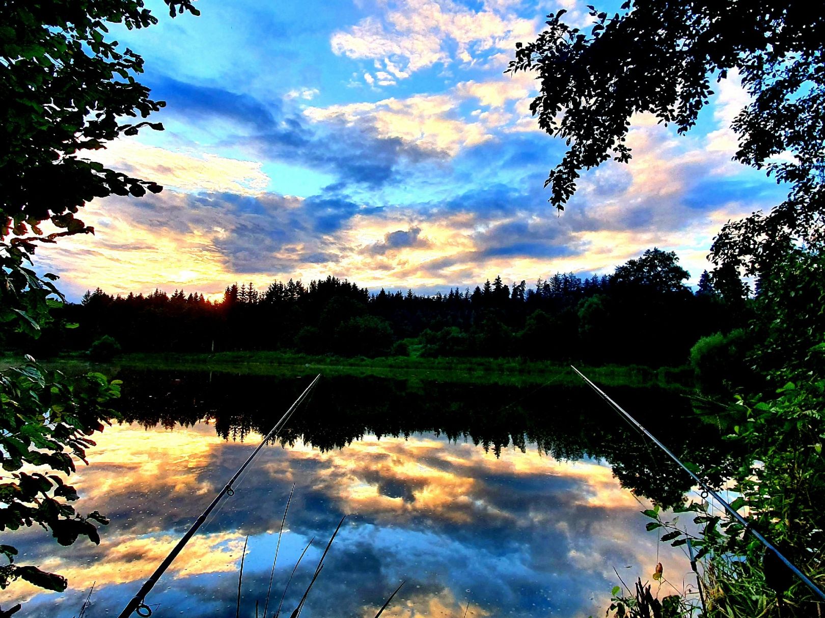 Gerweiher (Ellenberg) angeln