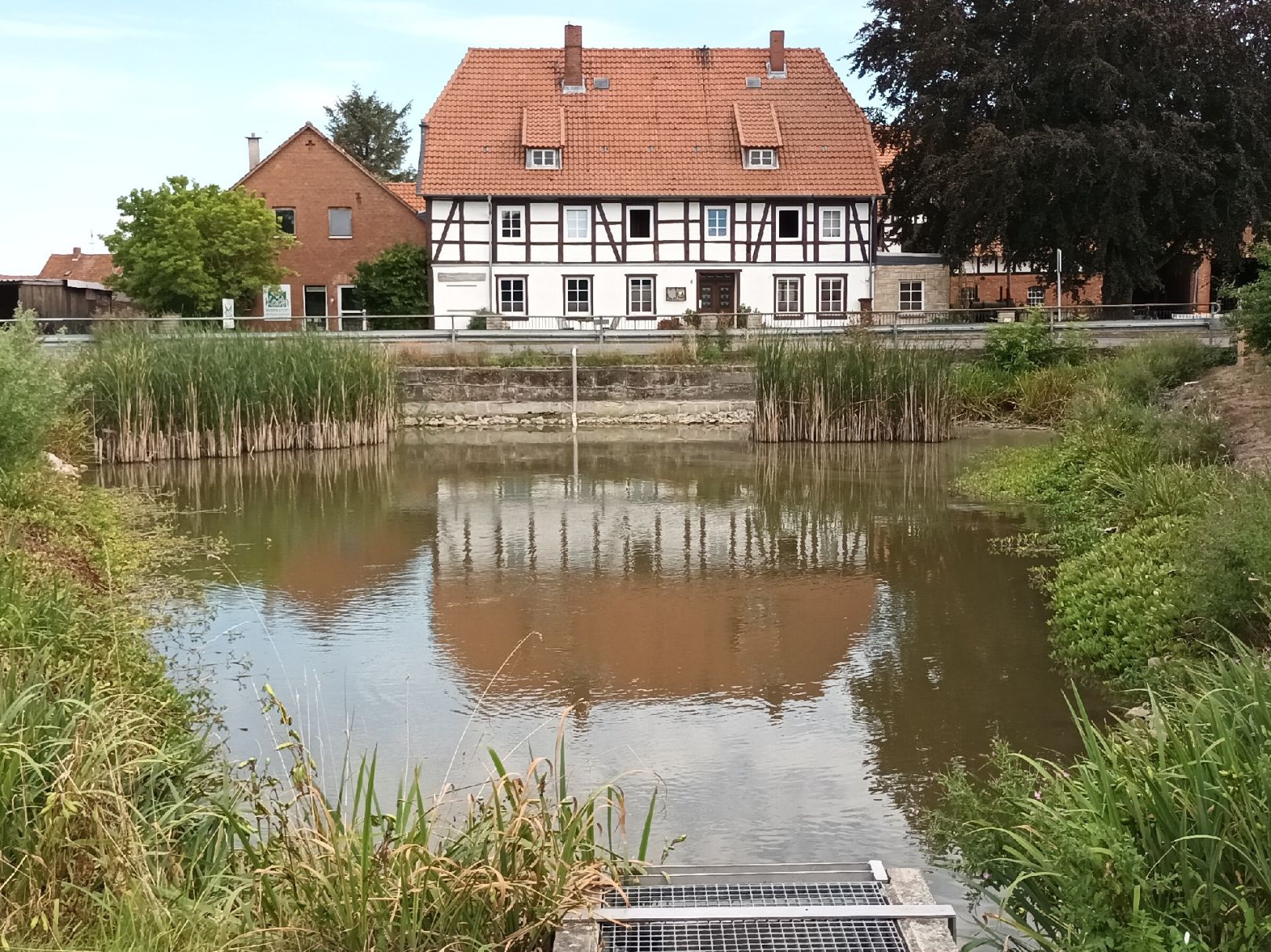 Königsteich (Schellerten) angeln