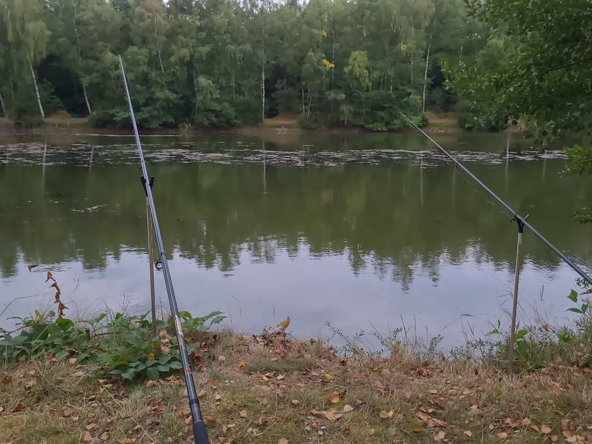 Vereinssee AV Dörverden angeln
