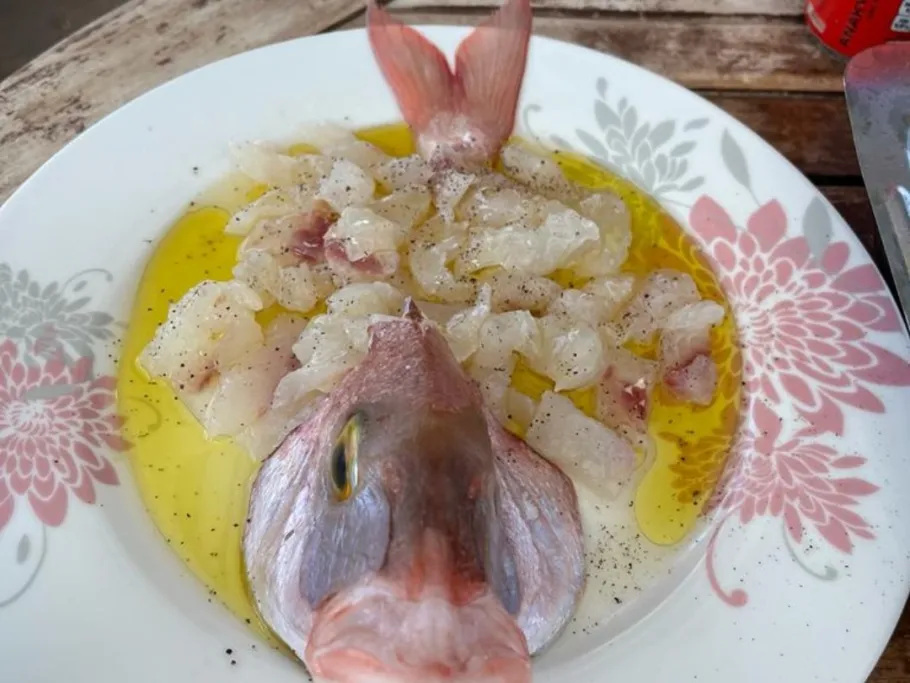 Mittelmeer (Idra) angeln