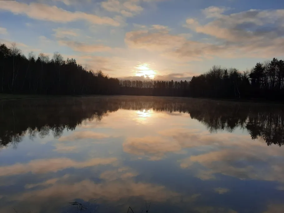 Silbersee (Twist) angeln