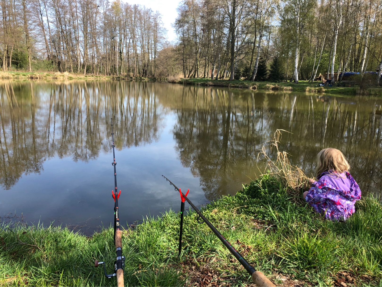 Mühlteich Tornau angeln