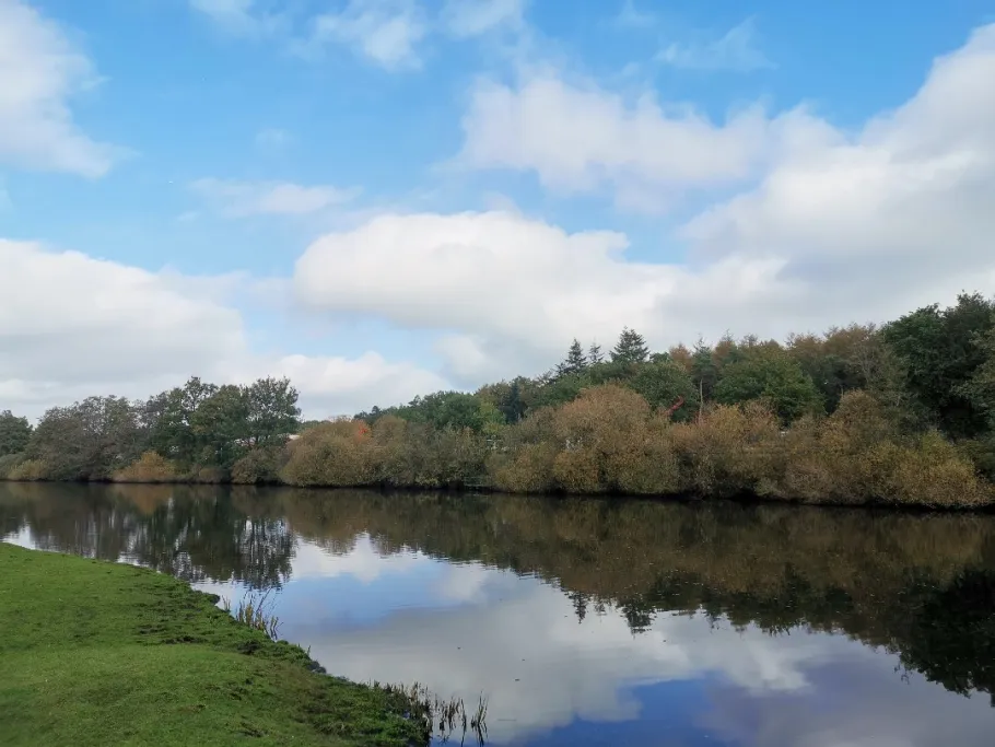 Goldfischarm (Herbrum) angeln