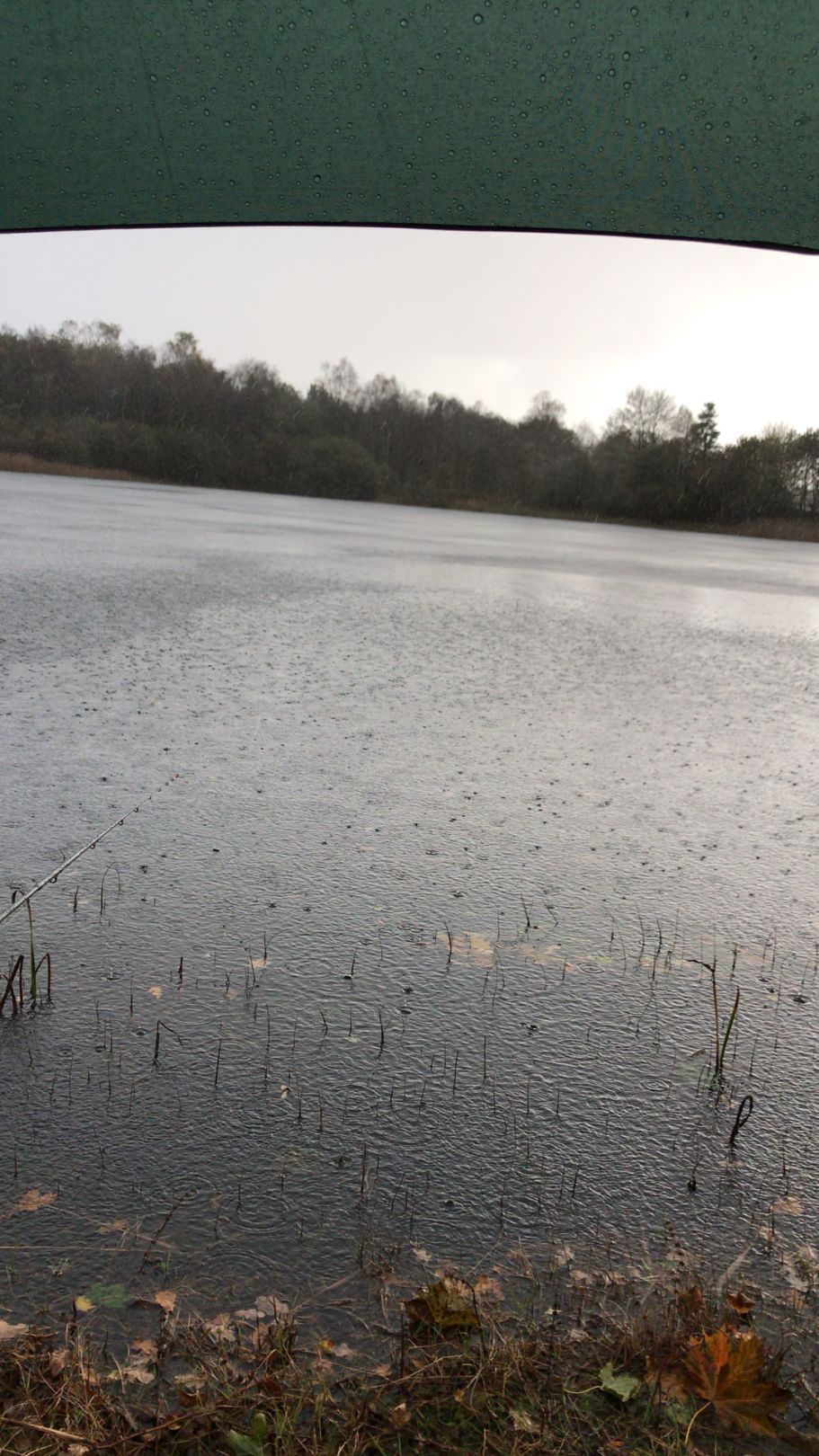 Hövener Teich angeln