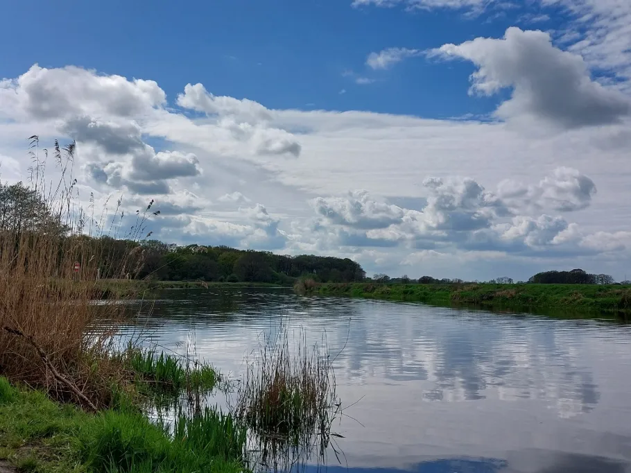 Vechte (Beerze) angeln