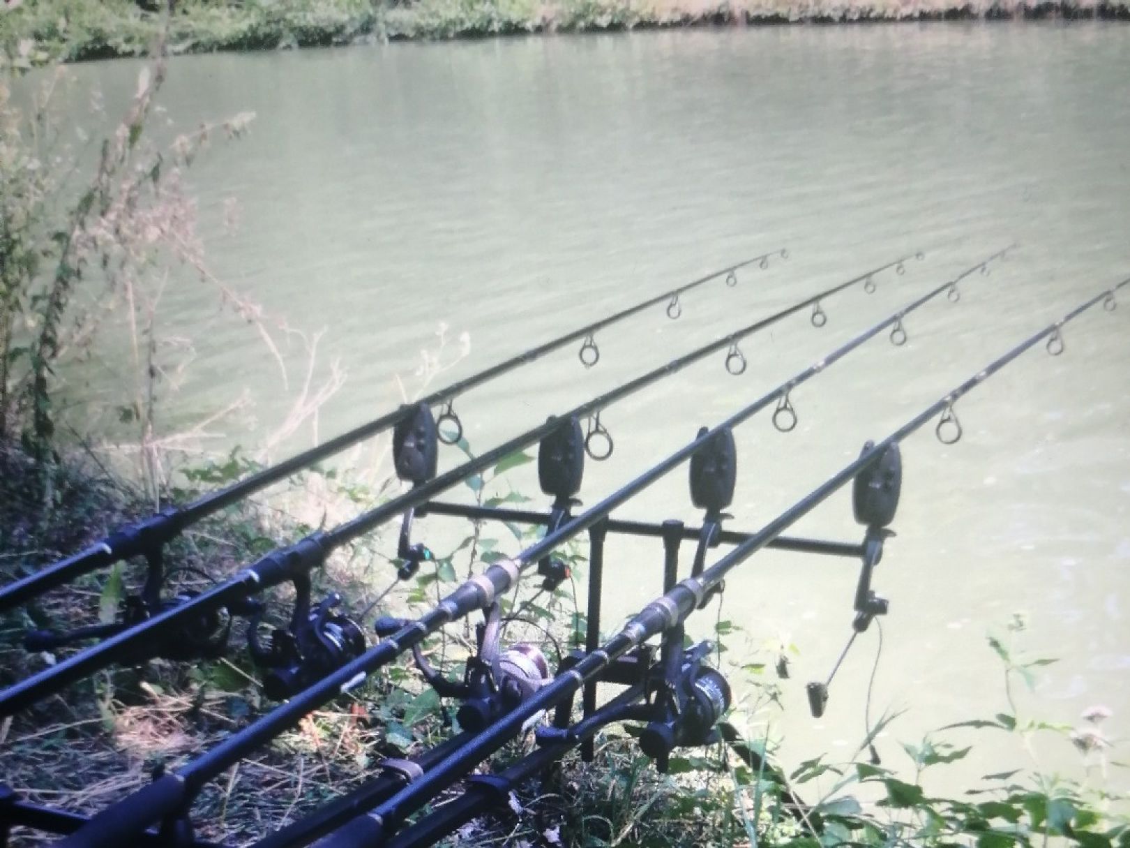 Canal de la Marne au Rhin (Brumath) angeln
