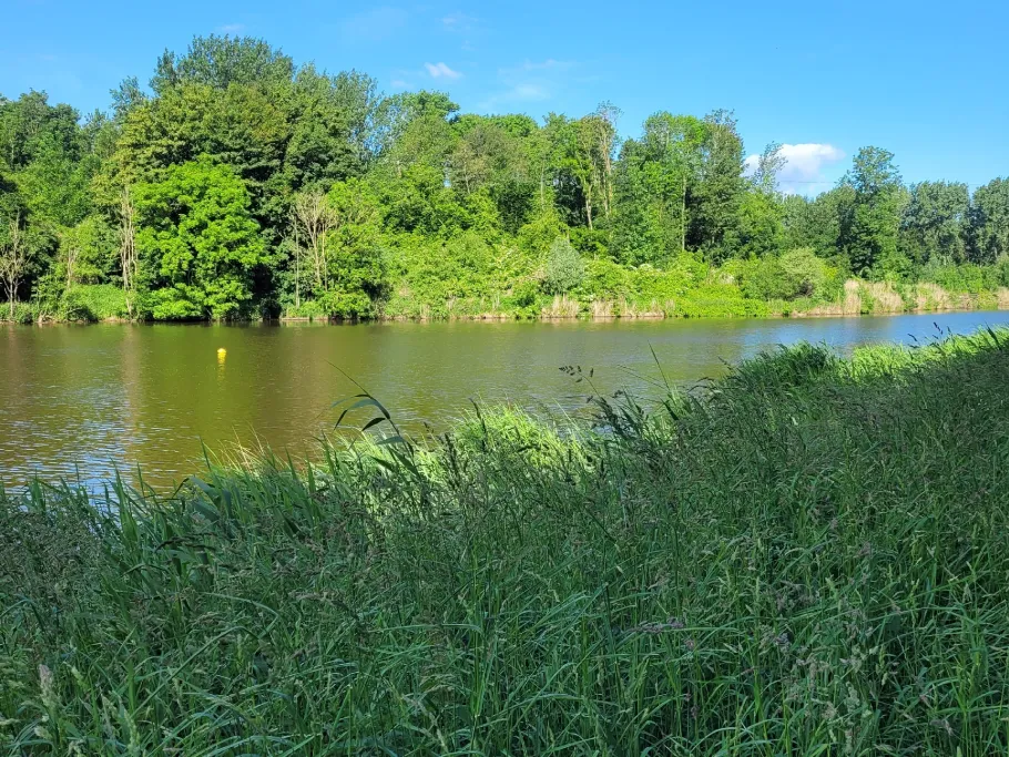 Larservaart (Lelystad) angeln