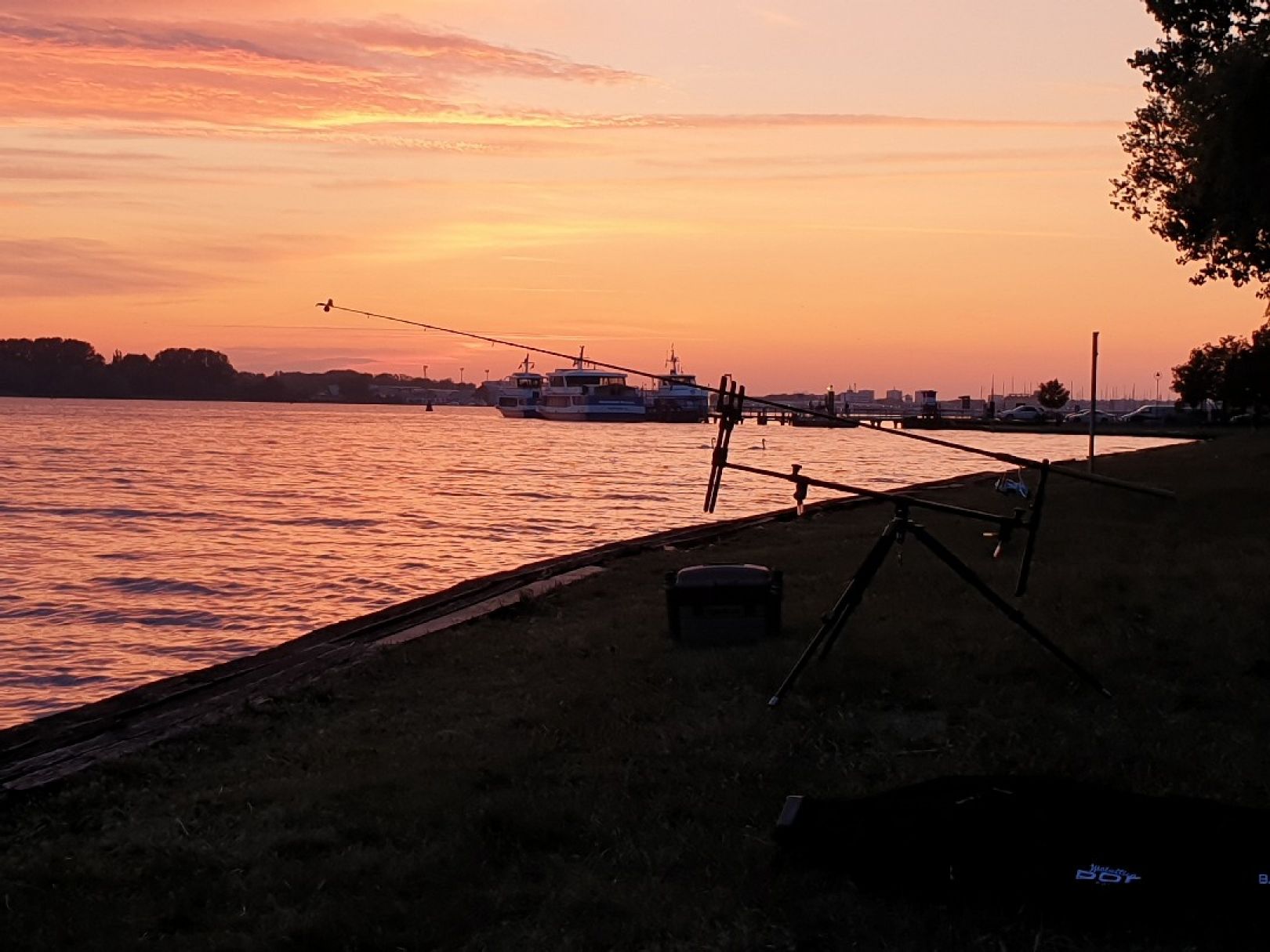 Unterwarnow (Rostock) angeln