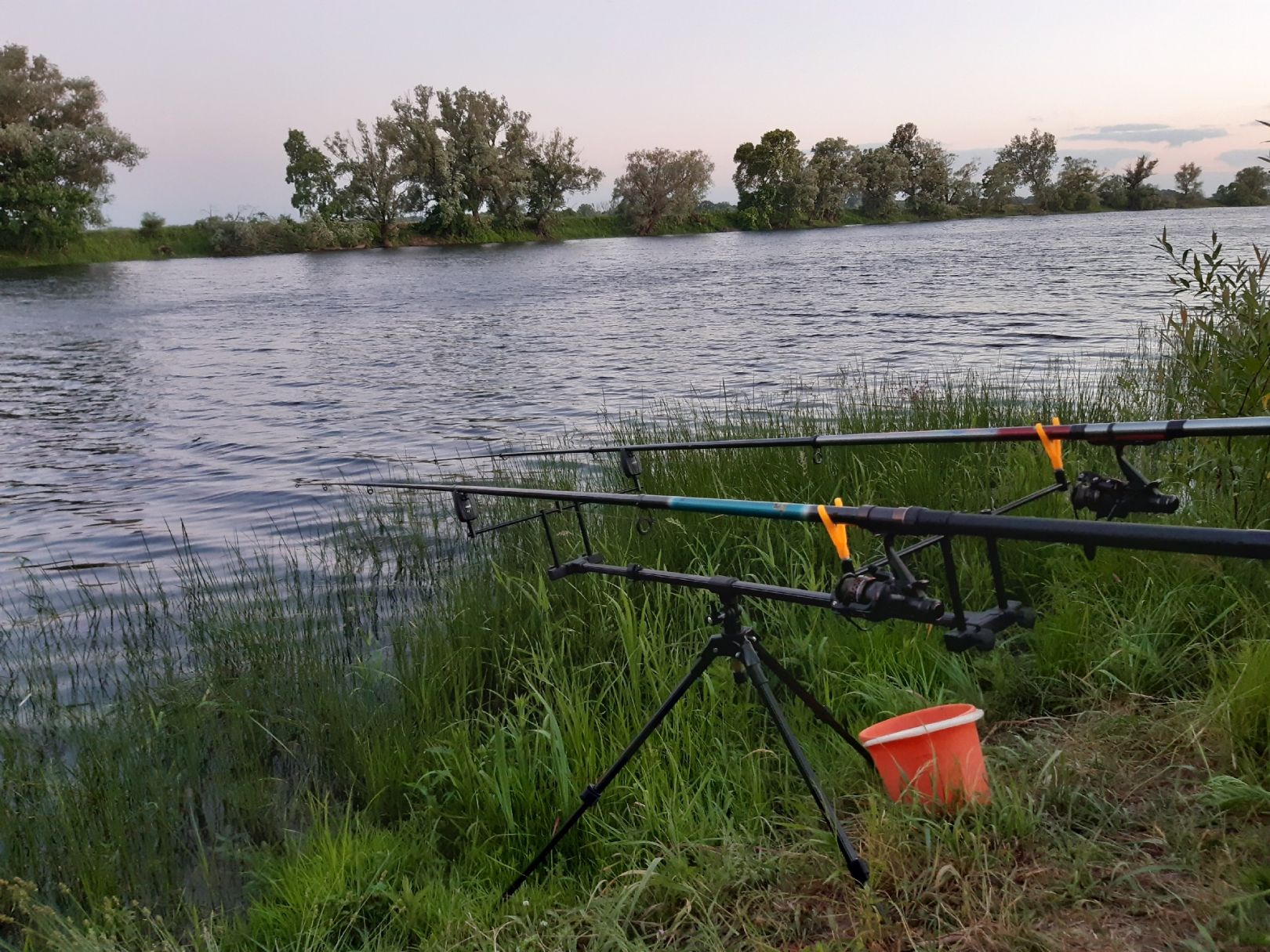 Bertinger See angeln