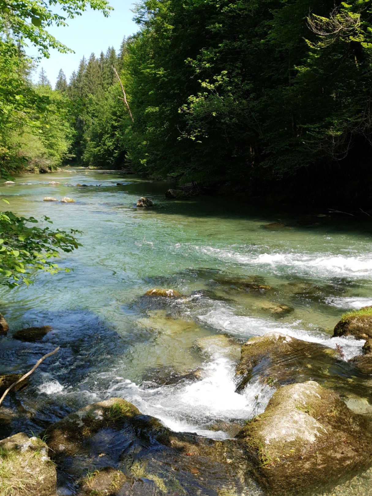 Angeln in Holzkirchen