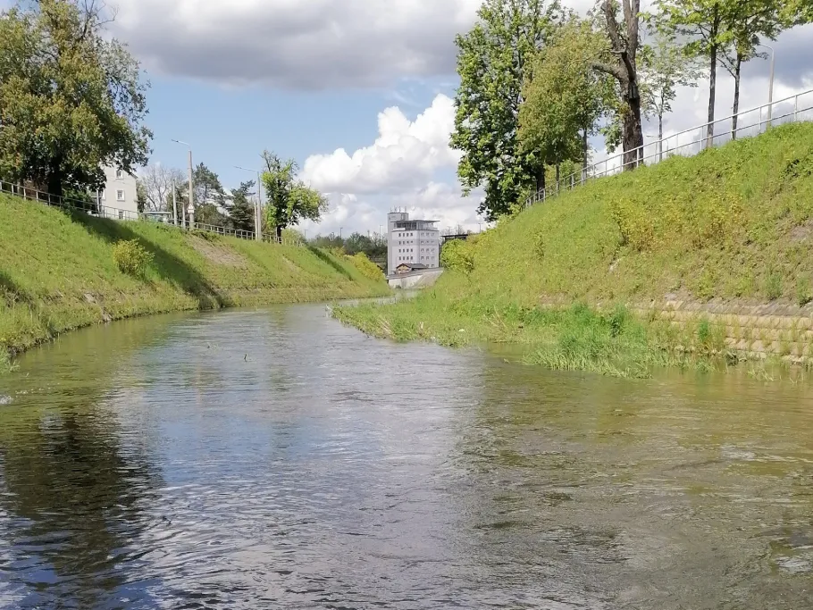 Weißeritz (Dresden) angeln