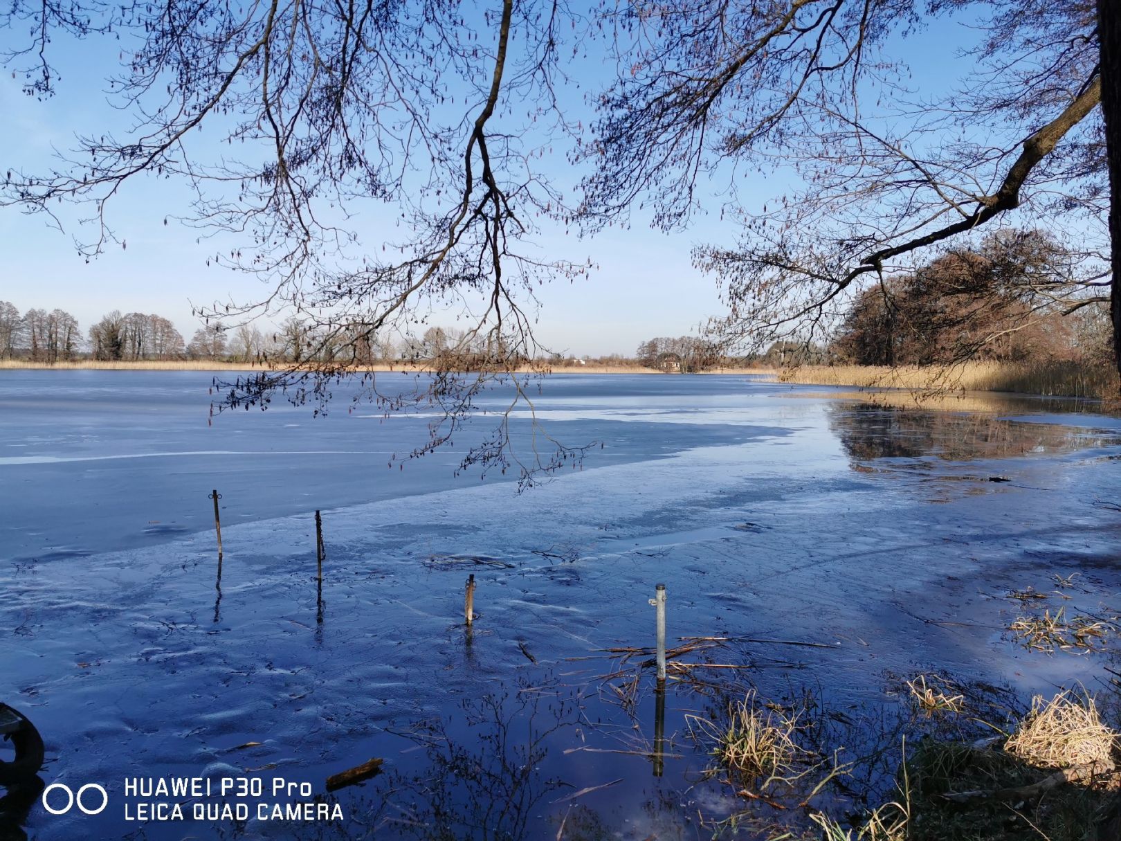 Wutzsee (Liebenwalde) angeln