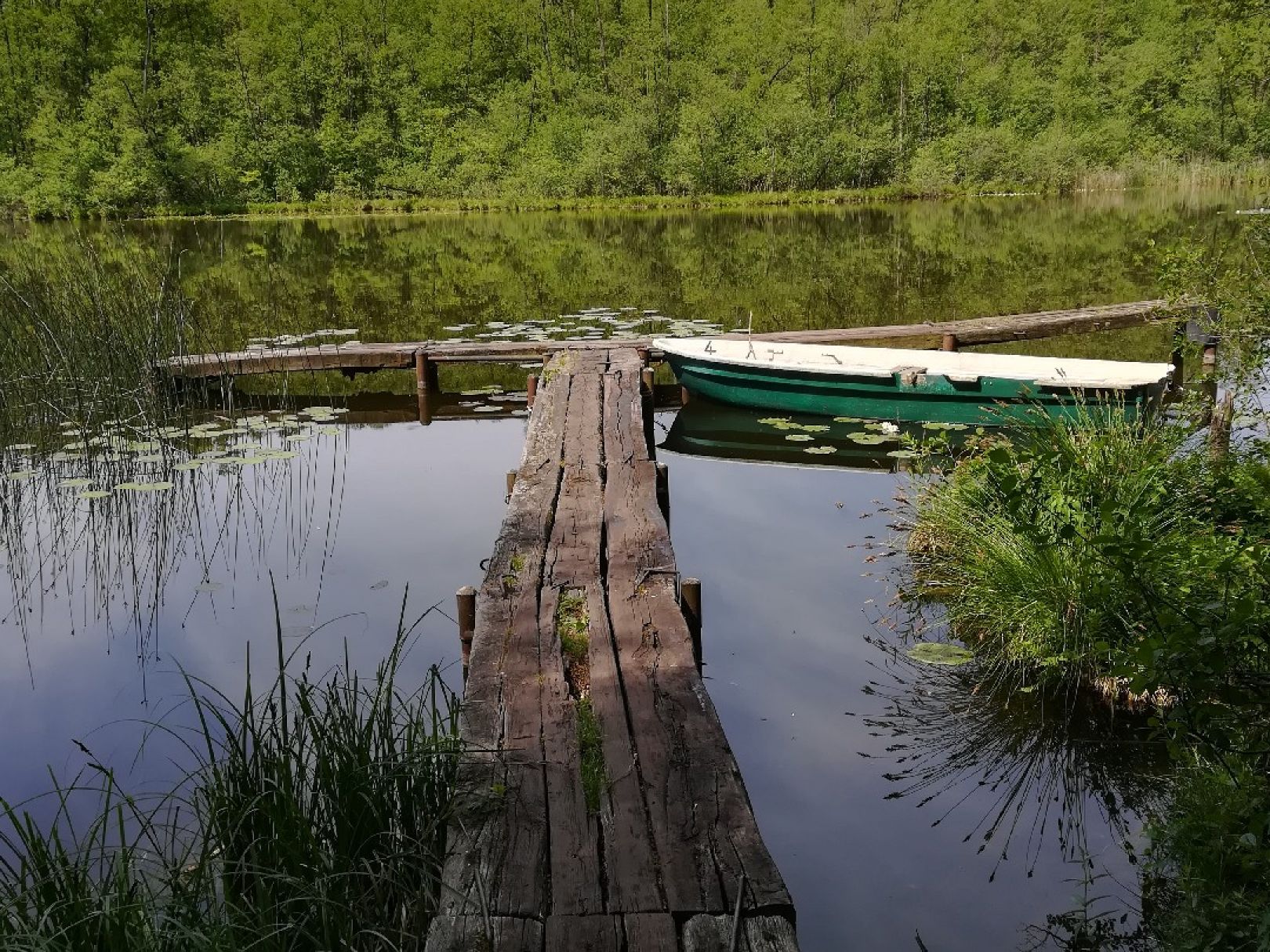 Brandsee (Garzau) angeln