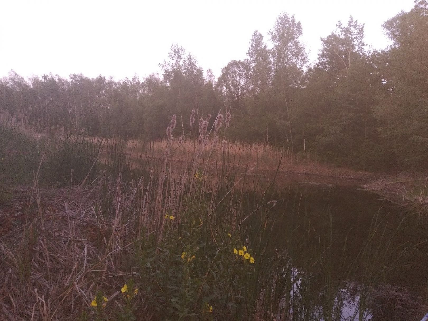 An der Einheit (Hohenmölsen) angeln