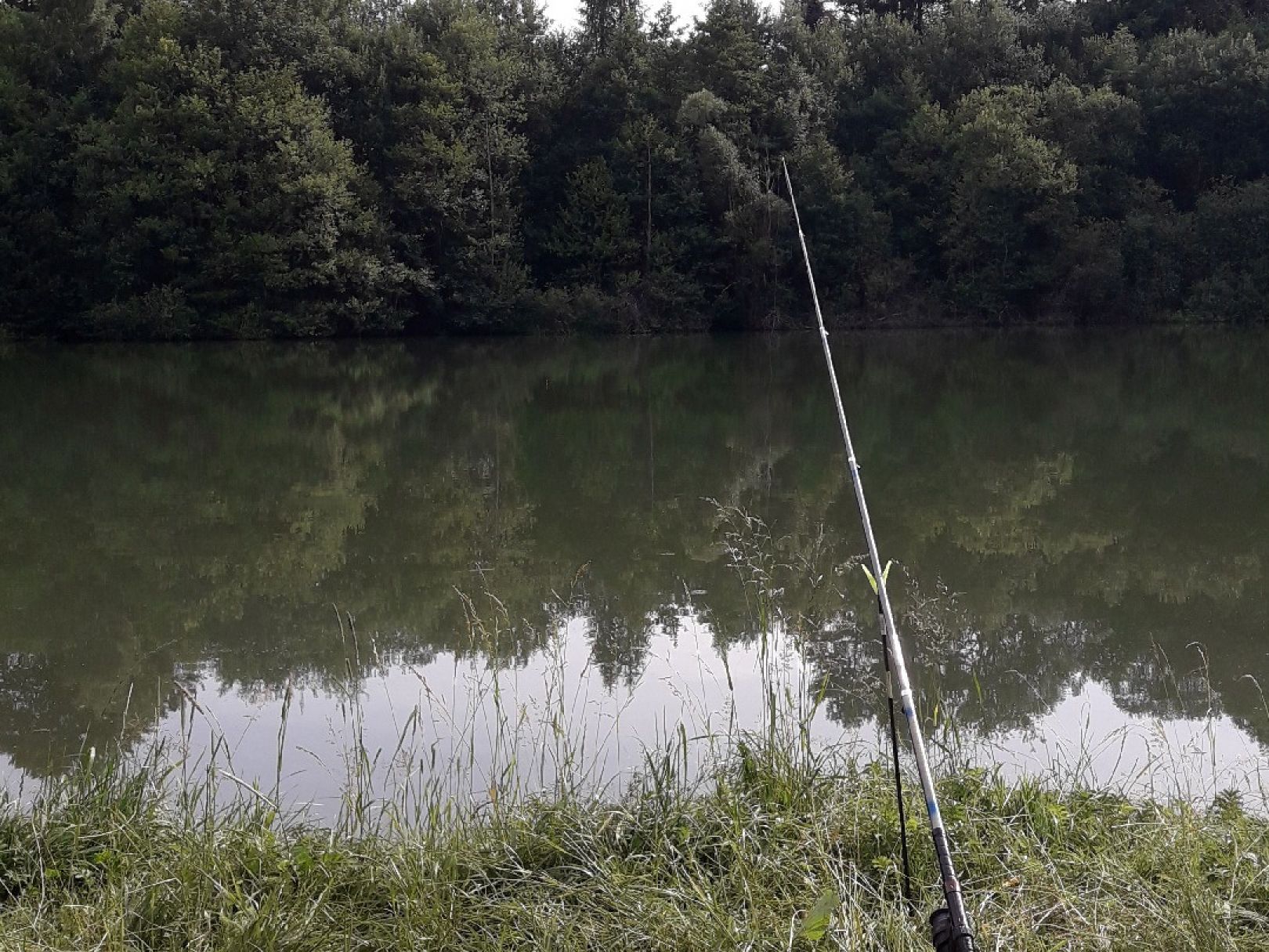 Vereinsgewässer ASV Waldfrieden angeln