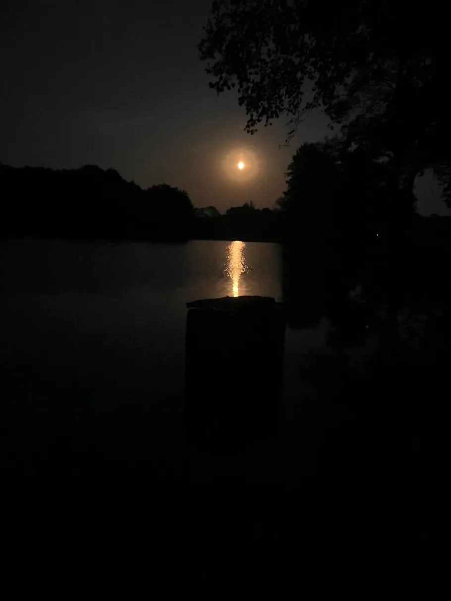 Kellinghaussee angeln