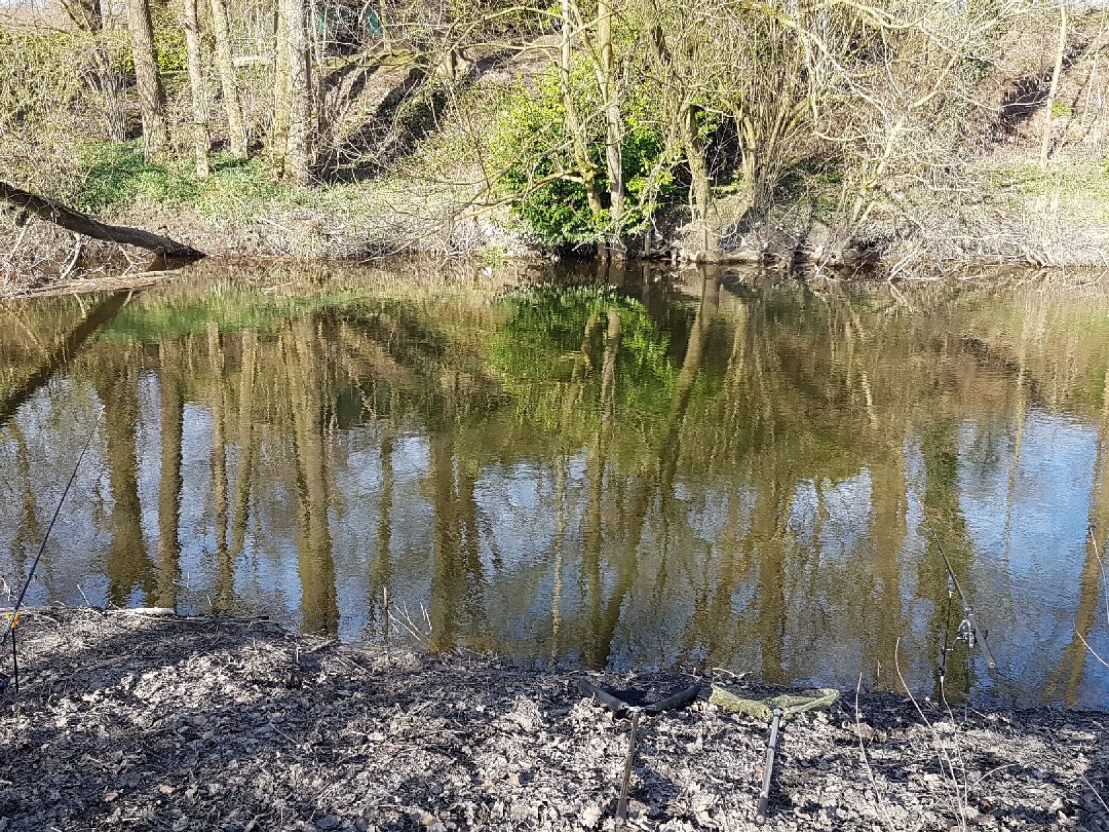 Werse (Münster) angeln