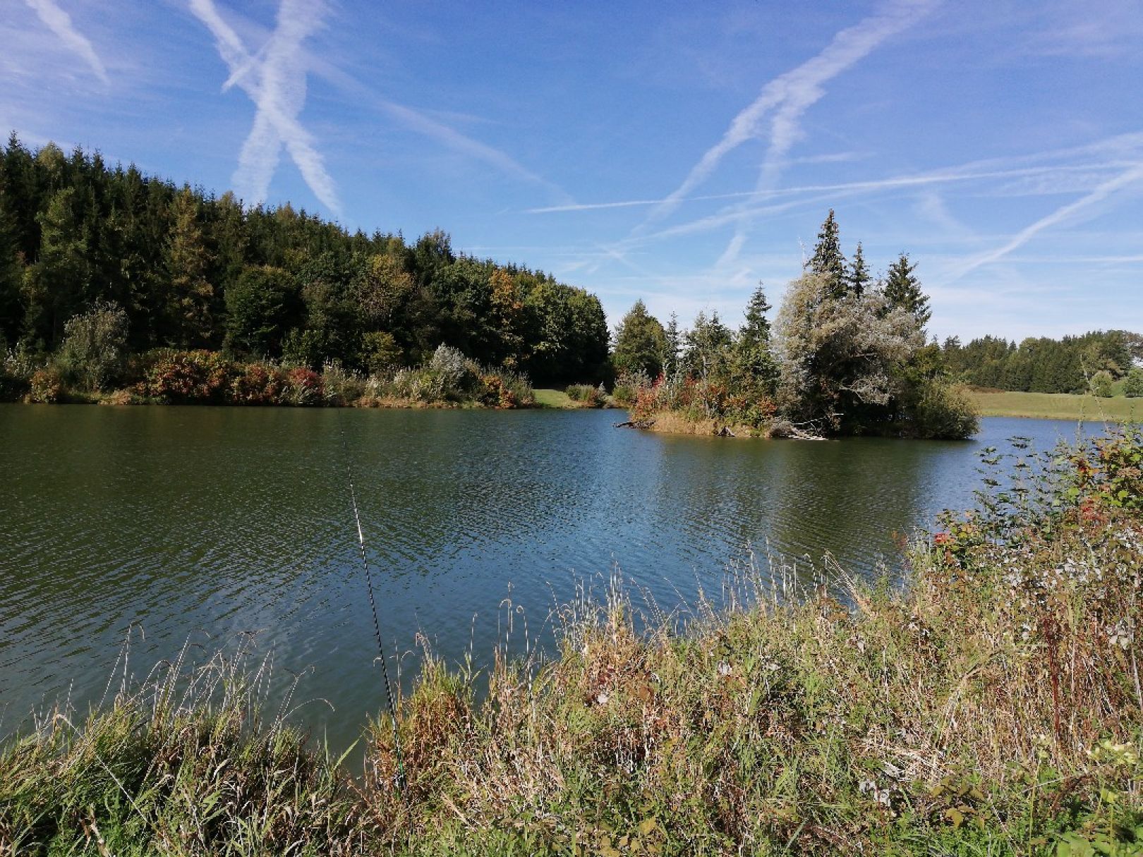 Stausee Pfänders angeln