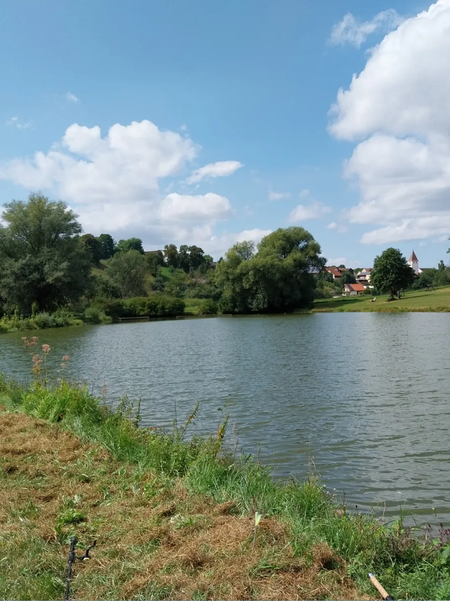 Bechthaler Weiher angeln