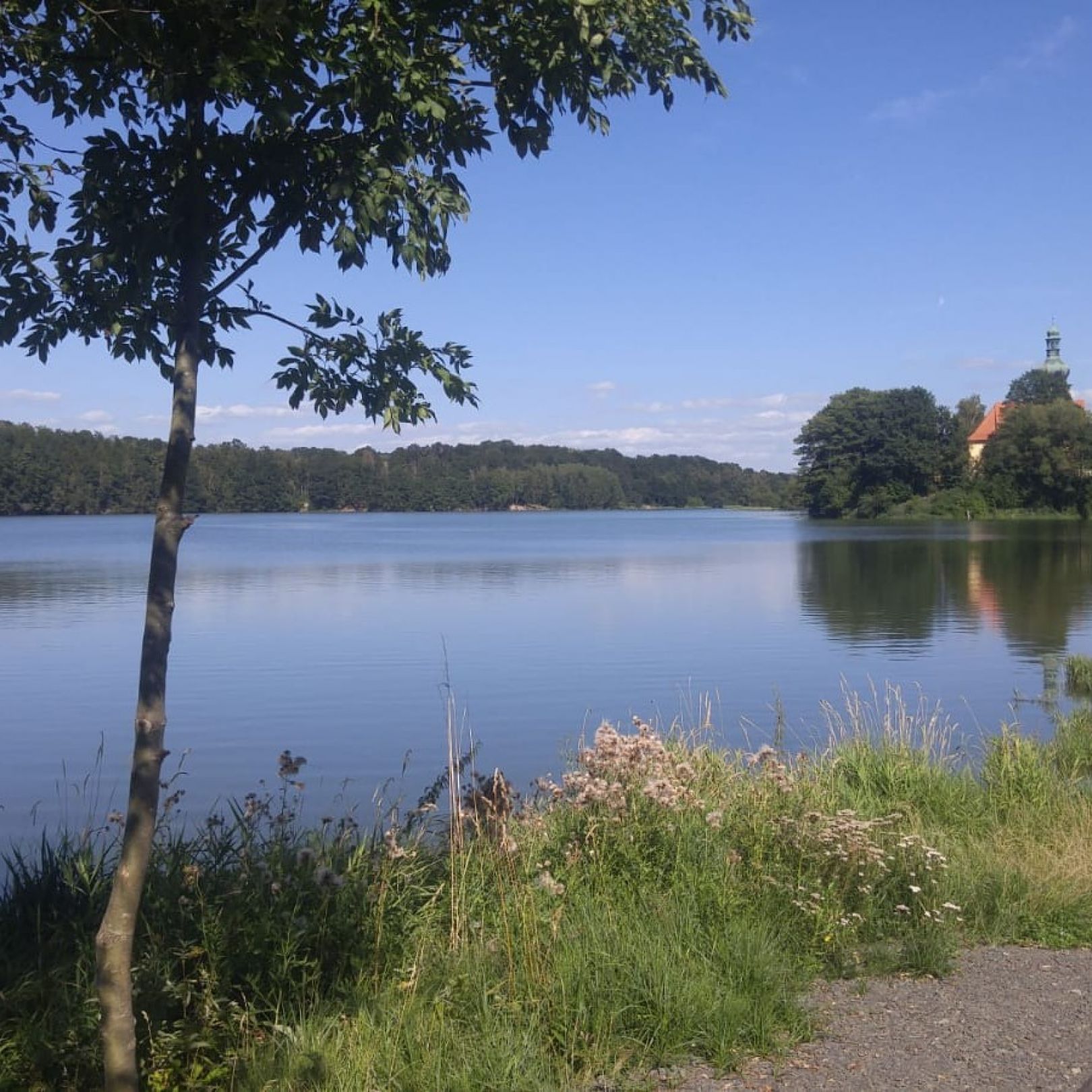 Eger (Hohenberg an der Eger) angeln