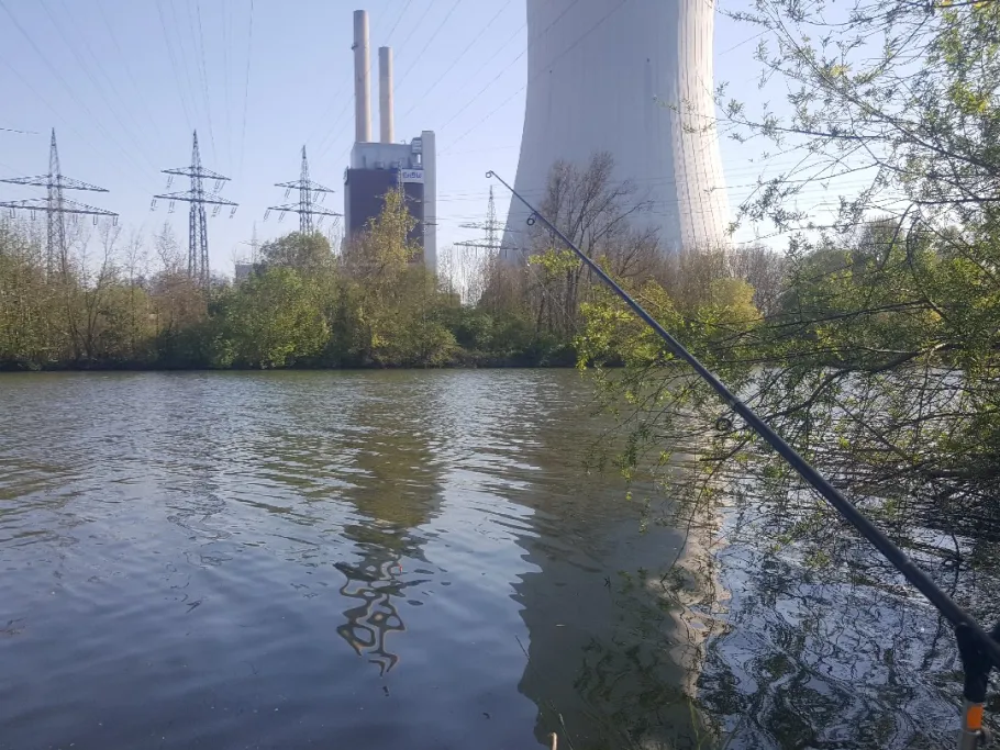 Neckar (Neckarsulm) angeln