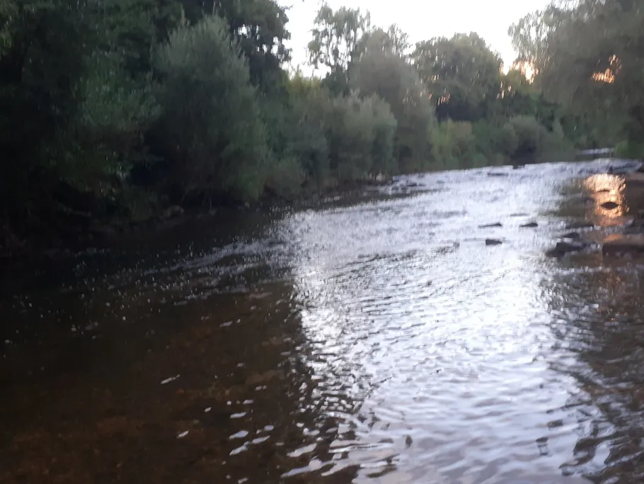 Fils (Reichenbach an der Fils) angeln