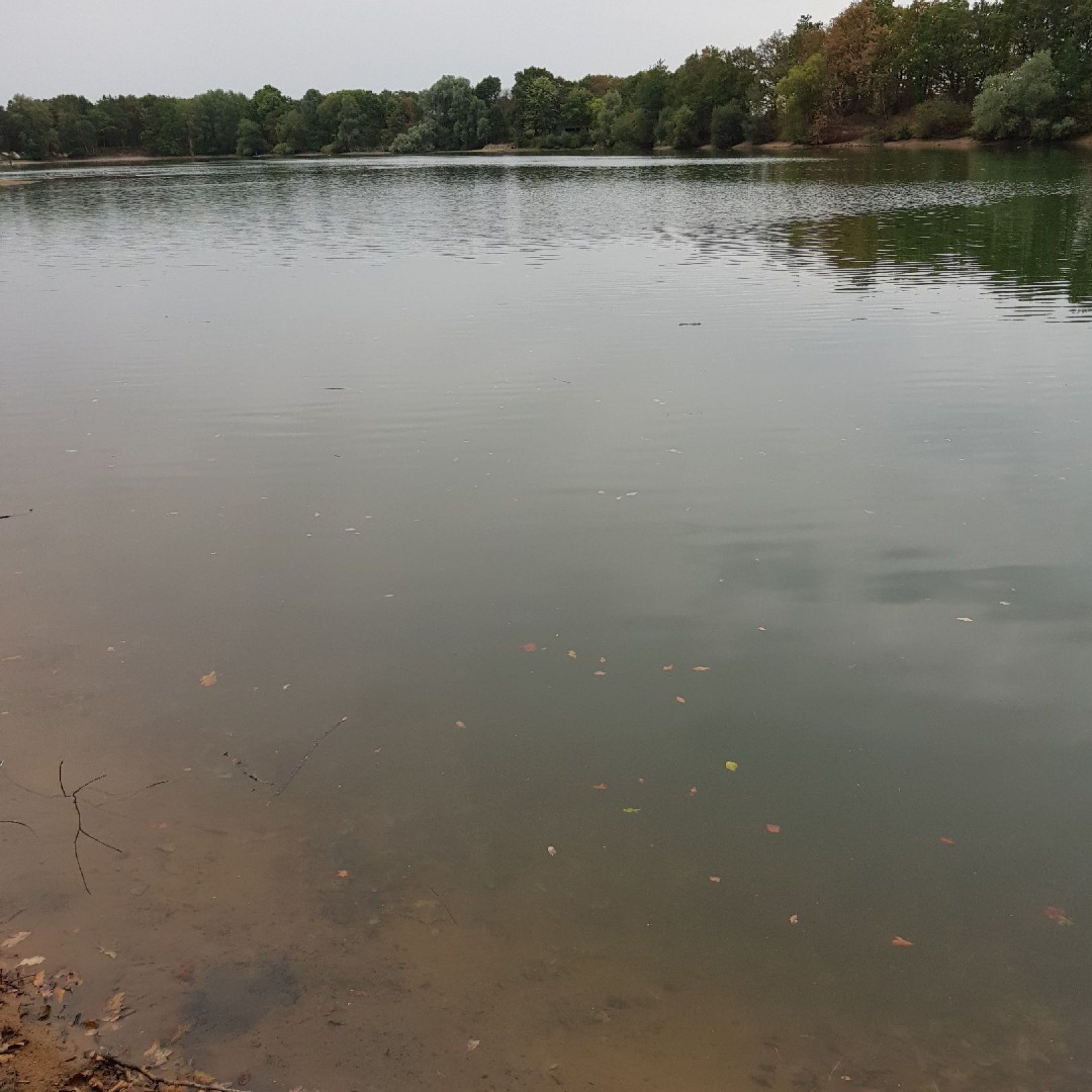 Baggersee Hersping angeln