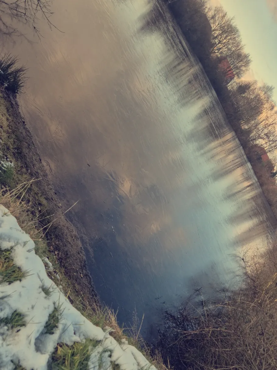 See an der Mühle Nenndorf angeln