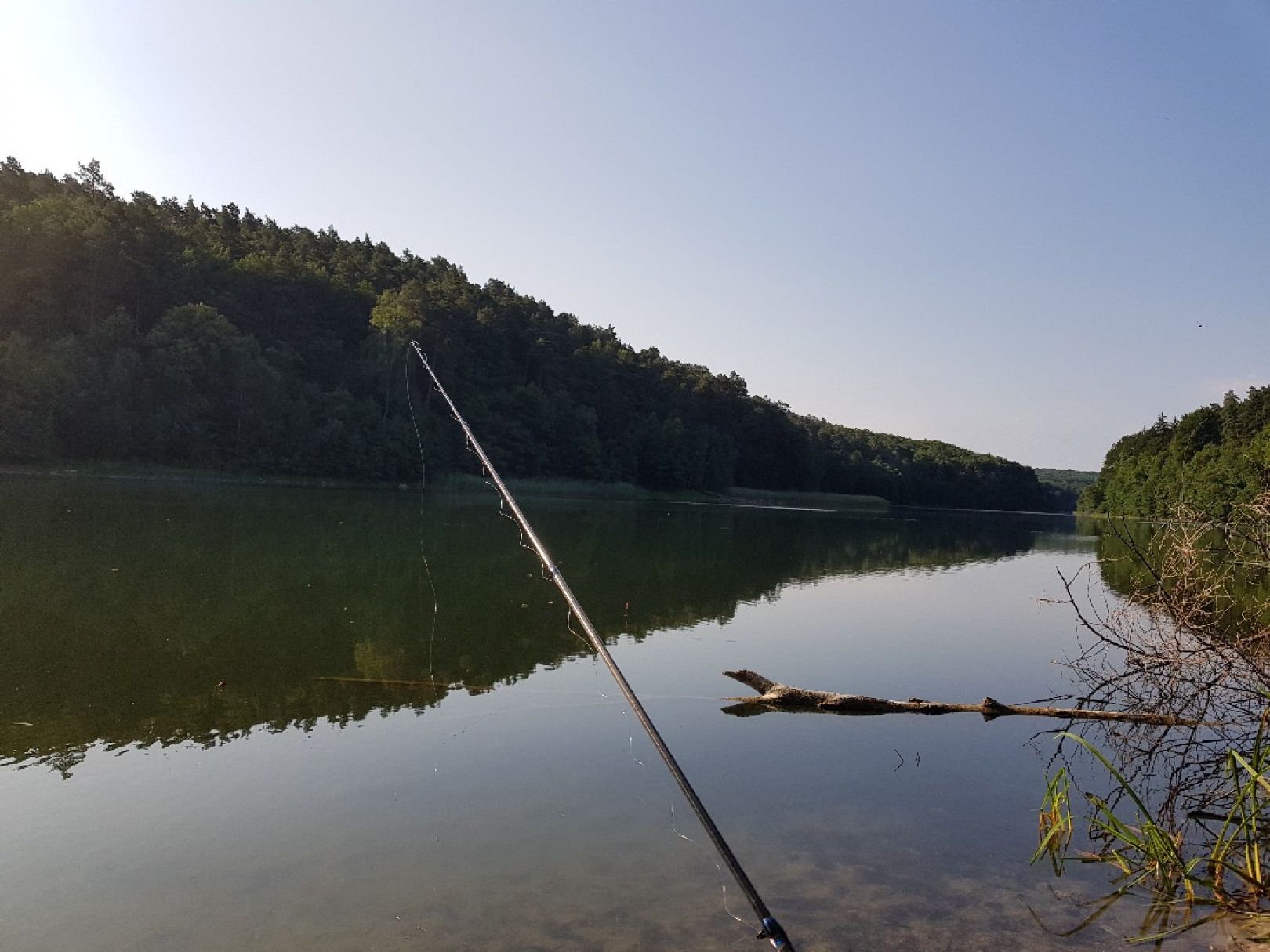Gamensee (Werneuchen) angeln