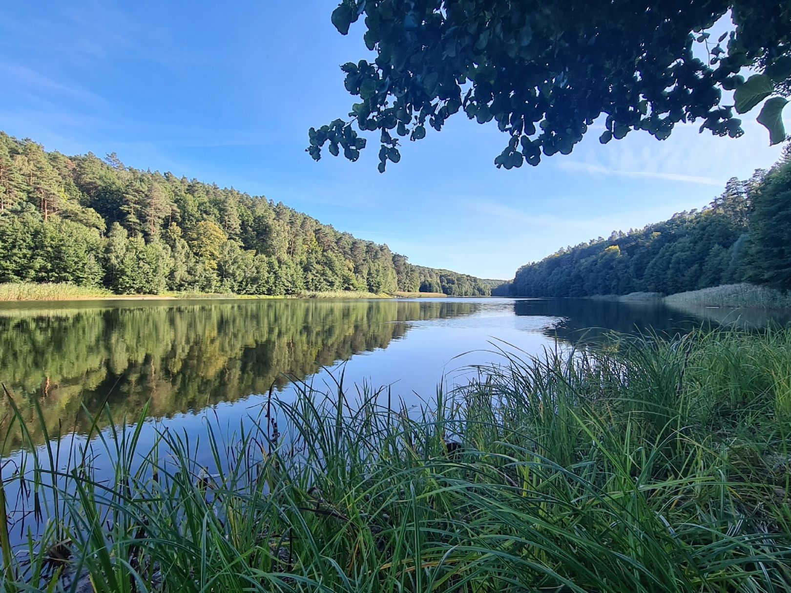Gamensee (Werneuchen) angeln