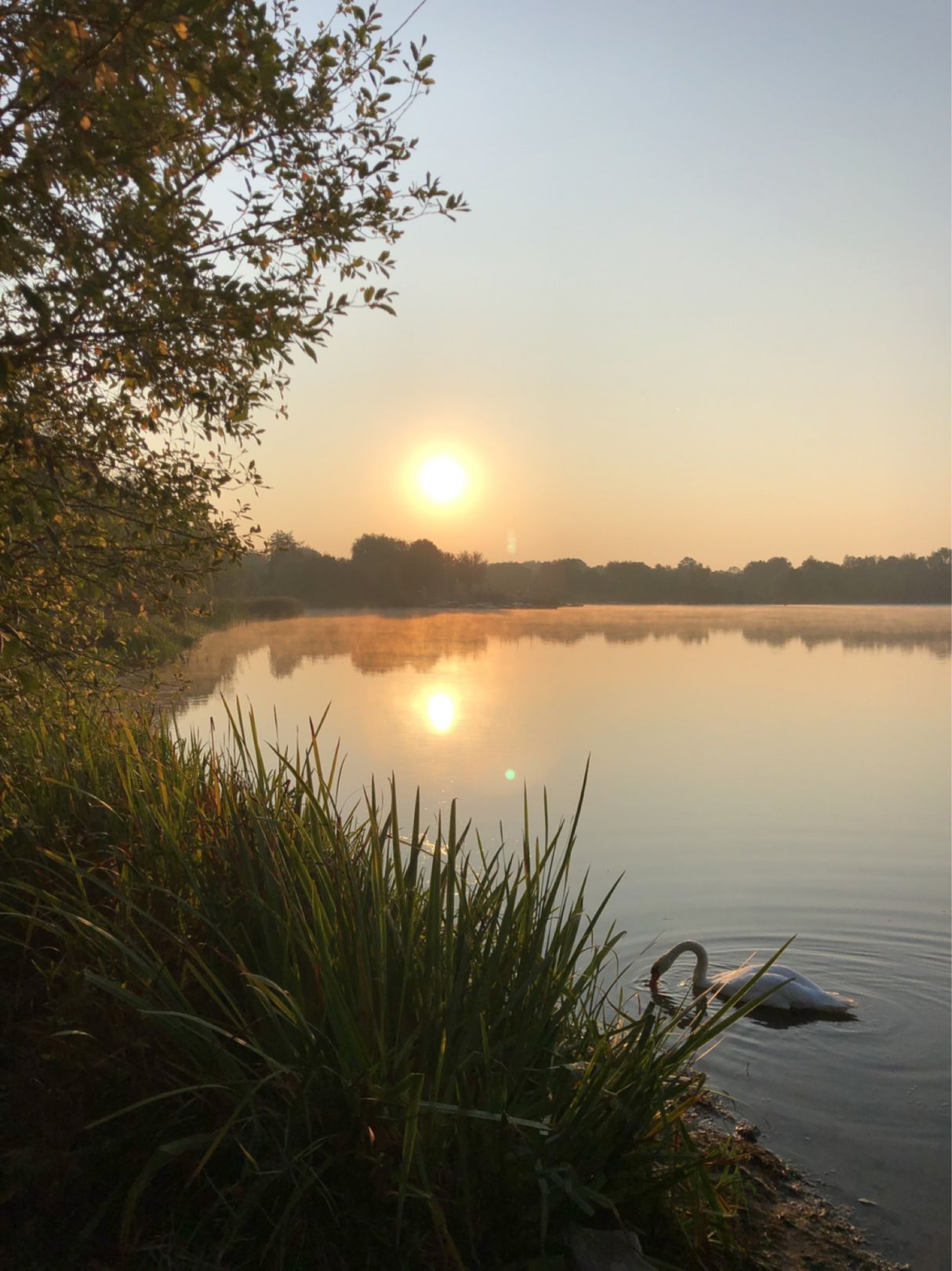 Niederwälder See 1 angeln