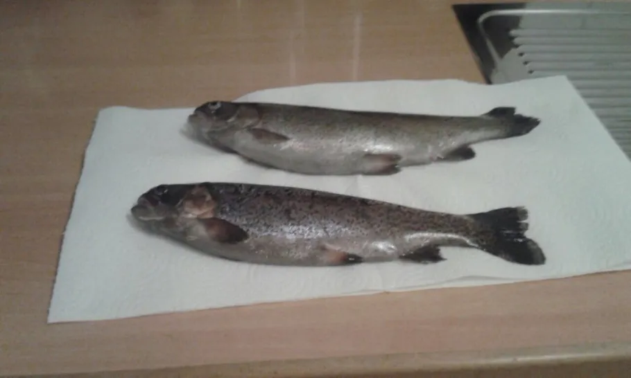 Seseke (Kamen) angeln