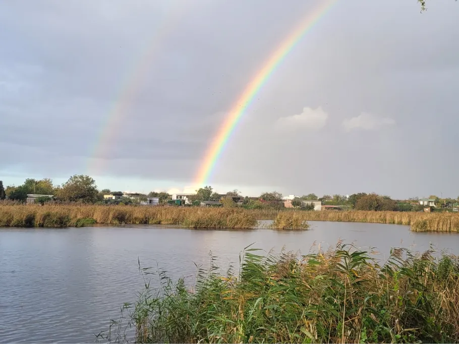 Igelpfuhl (Schwedt) angeln