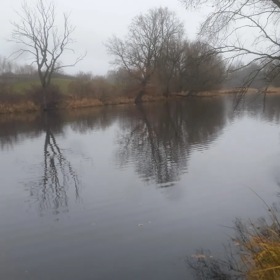 Spittelwasser (Jeßnitz) angeln