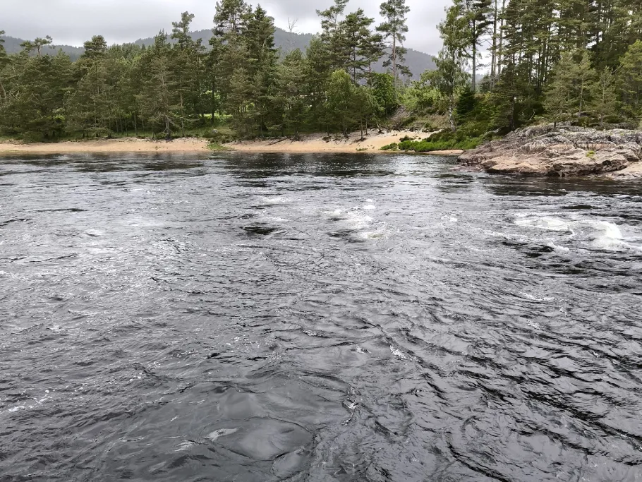 Mandalselva angeln