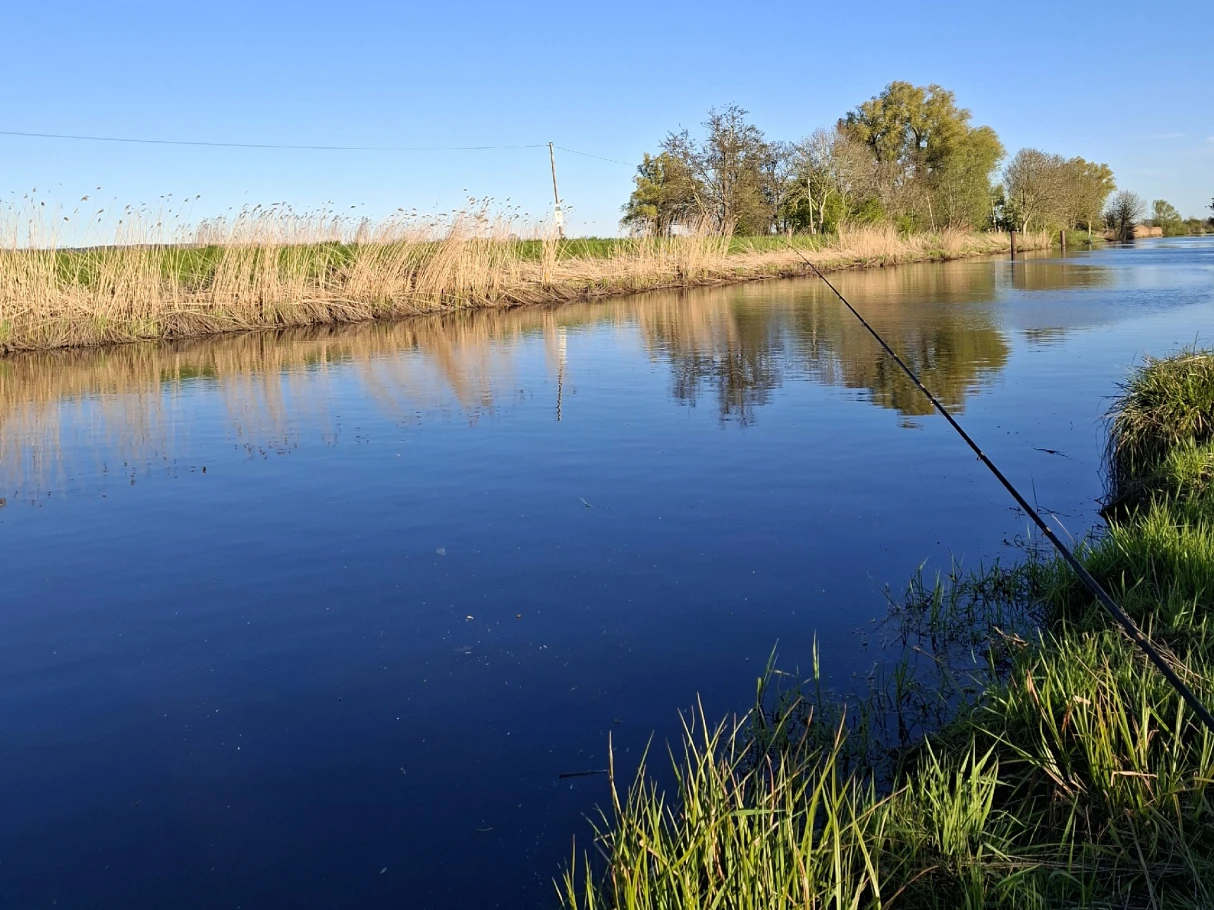 Hadelner Kanal (Odisheim) angeln