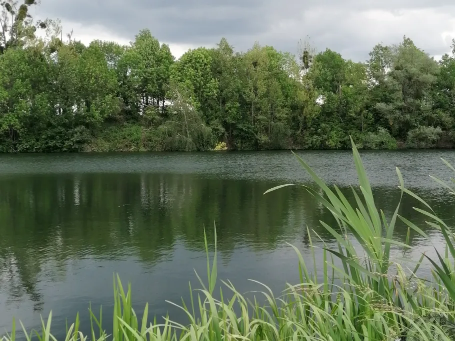 Ziegeleiteich (Stadthagen) angeln